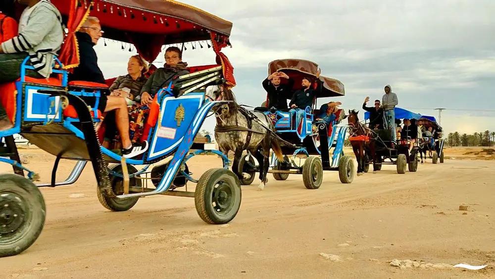 Passeggiata a cavallo sulla spiaggia di Djerba