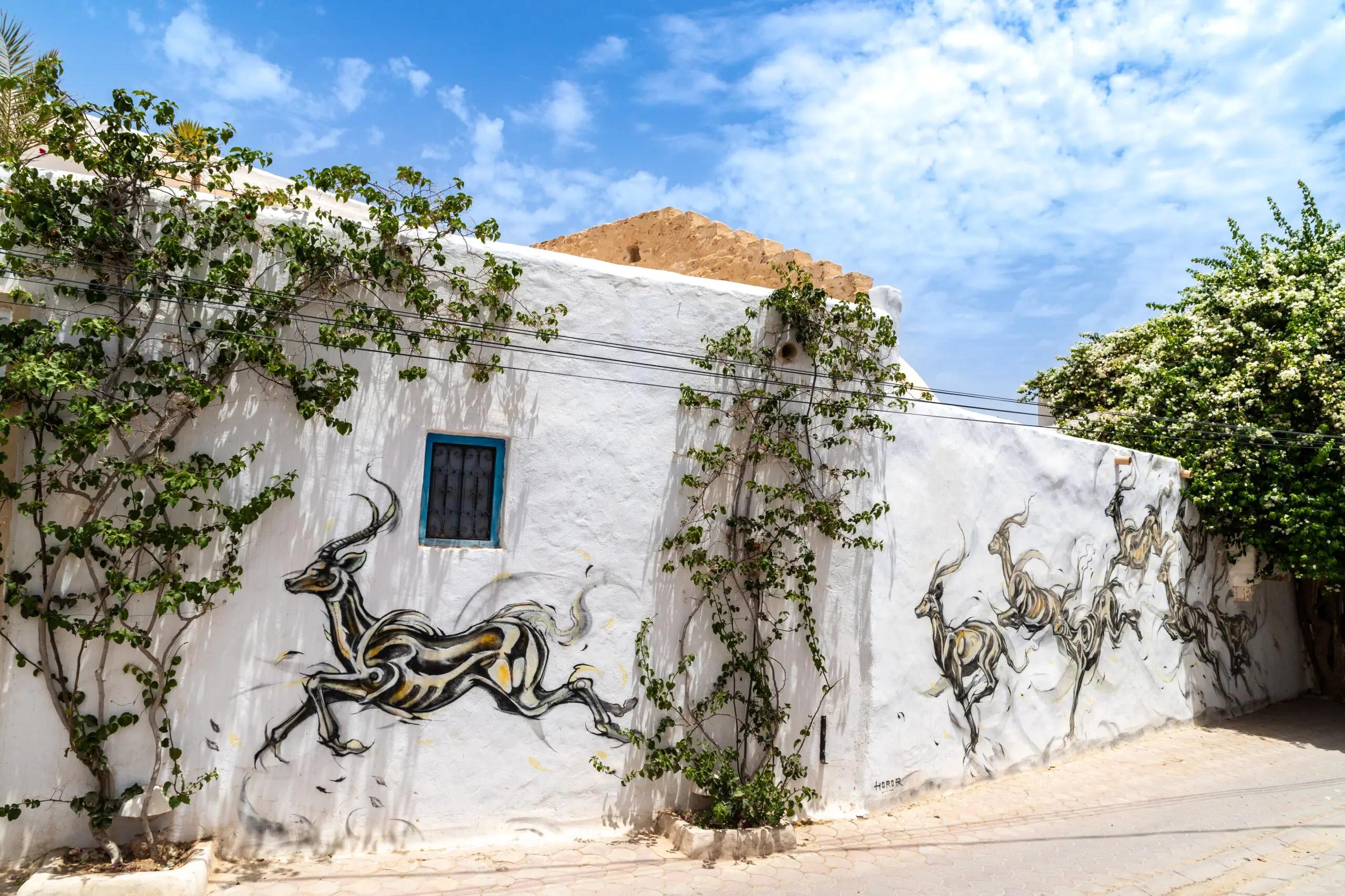 Murales street art con animali su muro bianco a Djerbahood Erriadh Djerba