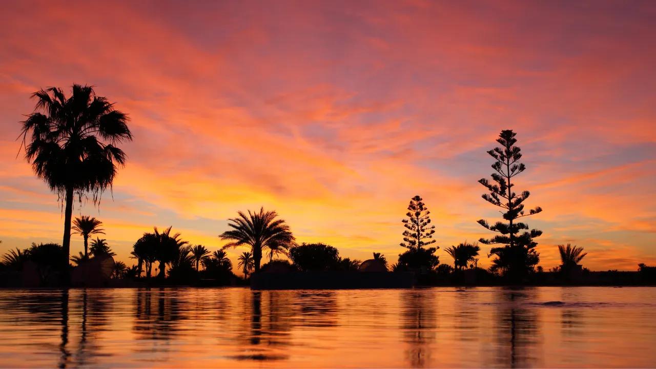 Tramonto sulla laguna di Guellala con sagome di palme a Djerba